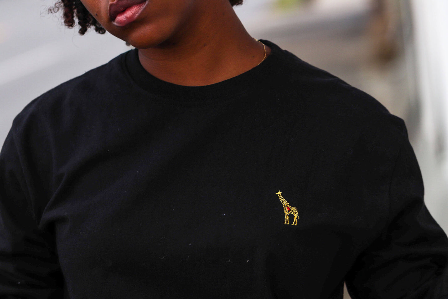 Elongated LongSleeved Shirt